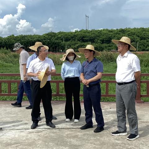 财政部海南监管局局长张建民带领相关人员在乐东开展实地调研