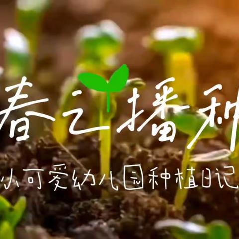 “雨生百谷  万物可期”   尼山镇中心幼儿园吴莉莉