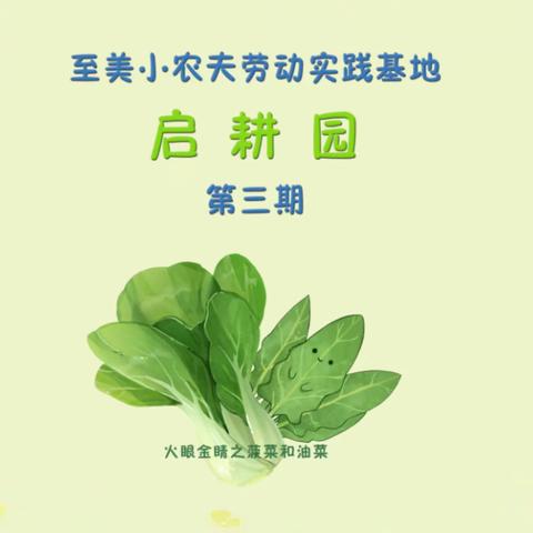 春日种植忙  躬耕硕果丰——东营市胜利第一小学2022级3班启耕园第三期  “火眼金睛”之菠菜和油菜