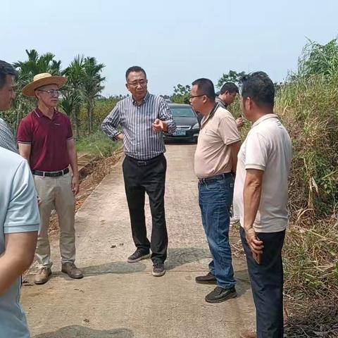 加强豇豆上市前检测 确保质量安全