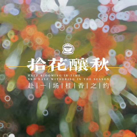 京师幼儿园小一班   一场与桂花的邂逅       一一第七周周记