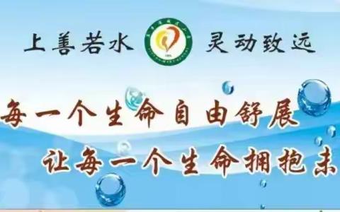 五月繁花锦 不负好时光——城区小学2024年5月工作集锦