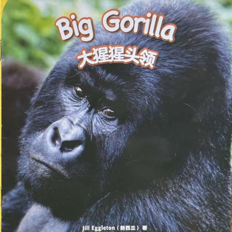 科林绘本第三级 Big Gorilla 文本图