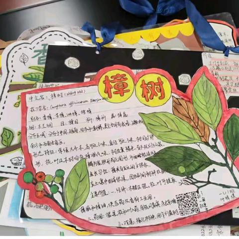 探索自然之美 共创科普校园——长丰县阿奎利亚学校教育集团六一系列活动之为植物挂牌。