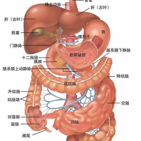 王沙村“幼吾幼”少儿之家开展“科学益智，探索人体的奥秘”主题活动