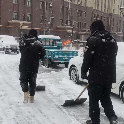 四季阳光物业：风雪中的坚守