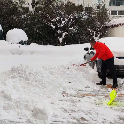 盛雪至，人勤起早不误工！           保税港区支行积极清雪保畅通