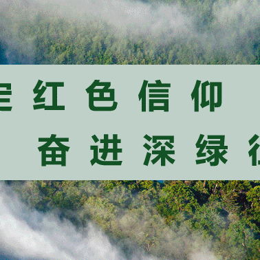 “坚定红色信仰，奋进深绿征程”党支部共建主题党日活动