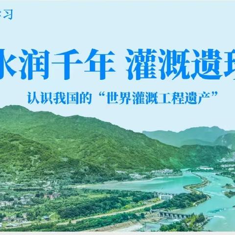 聚焦新教材改革 深耕跨学科教研