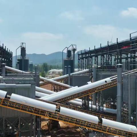 金蛇献瑞迎新春，庙街乡给您拜年啦！