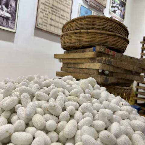 “美好生活，劳动创造”——2216班暑假实践活动纪实