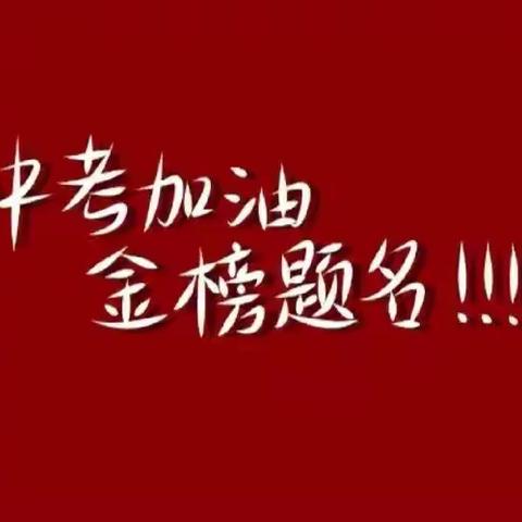 双峰四中初中部第十五周校园工作纪实