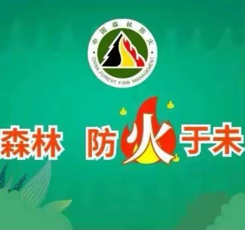 大唤起小学森林防火知识进校园