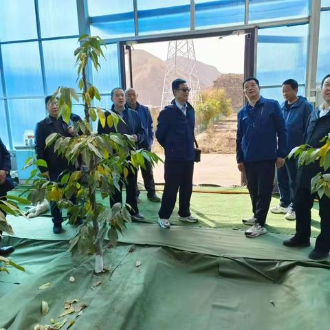 白龙江林业保护中心主题教育第一巡回督导组到林木良种培育站督导工作