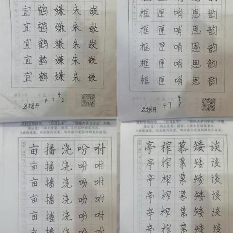 城里小学四4班 迟婼丹暑假日习五字作品展示