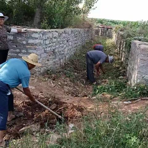 南白塔村开展防汛安全排查，河道清理专项行动