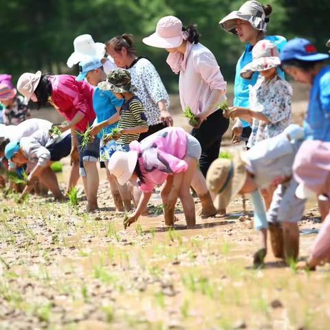 “鹿岭春晓”周末营地活动-为孩子们打造一个欢乐的童年