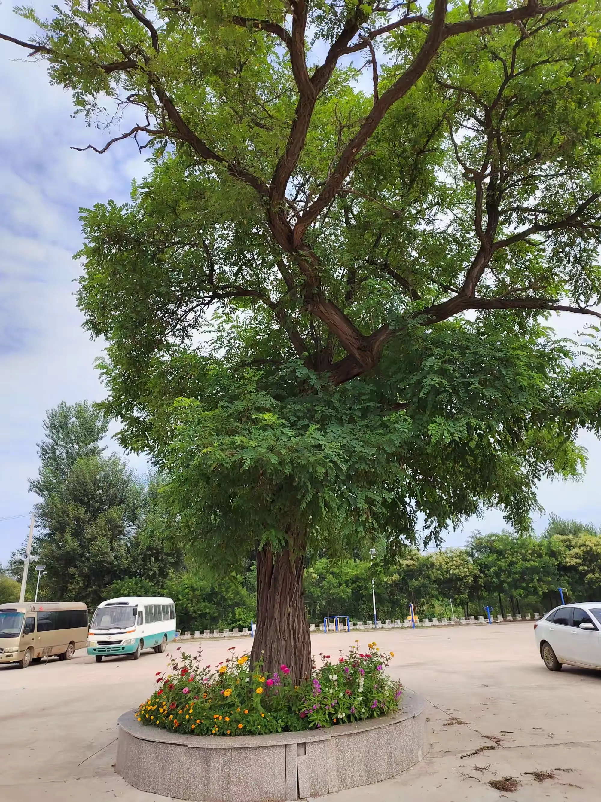 简篇-不以纸张论短长、综合体验美名扬——头道河邹家屯小学一年级期末综合素质测评