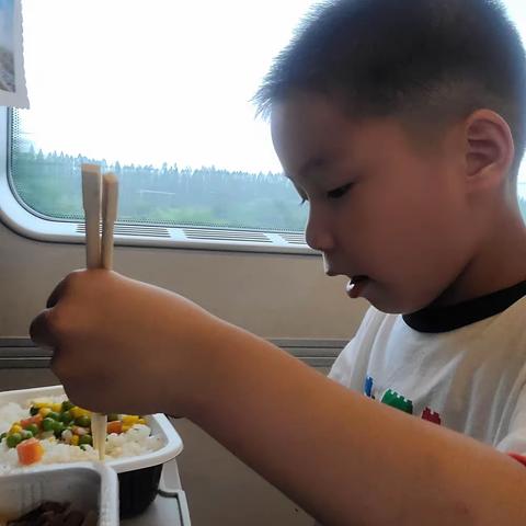 海师附小一（1）班陈奕豪夏日游记