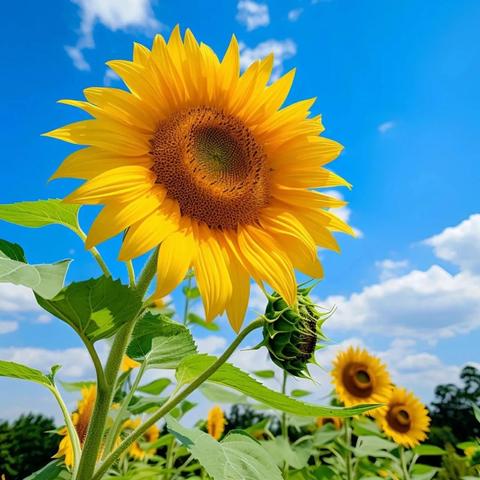 勤研深耕，砥砺前行 — 2024-2025学年度第二学期初中英语组教学工作会议