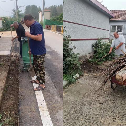 即墨区龙泉街道：分层分类促进，提“颜”农村人居环境