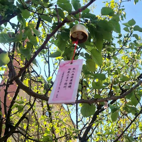 走进东师附小，走进率性教育