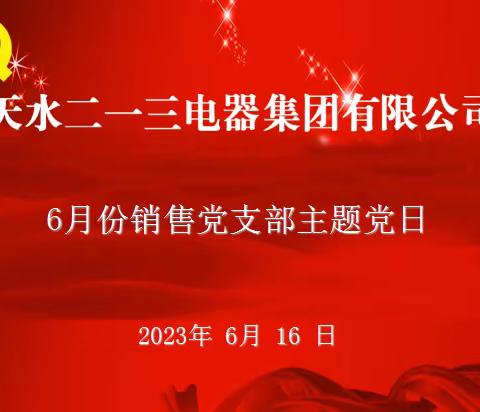 销售党支部开展6月份“三会一课”暨主题党日活动