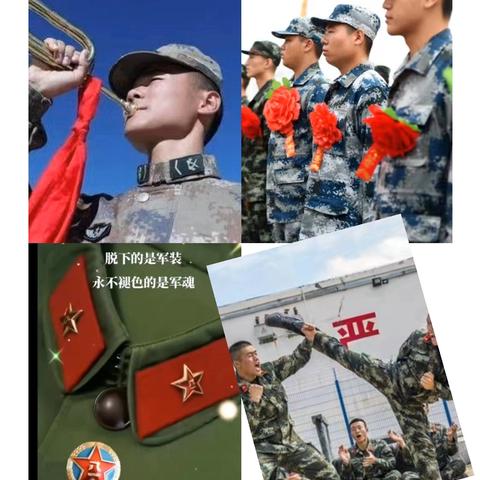 记录近年曾是空军十六航校三团战友组织联谊欢聚