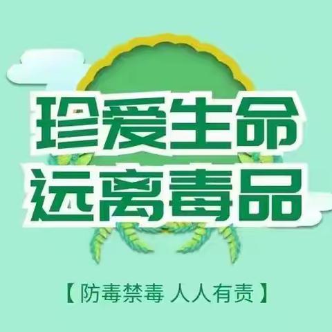 南向店完小“珍爱生命，远离毒品”主题升旗仪式