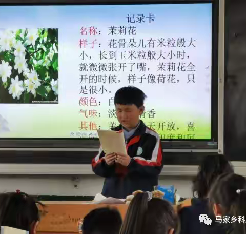 马家乡科泉小学社团成果展示活动纪实（三）