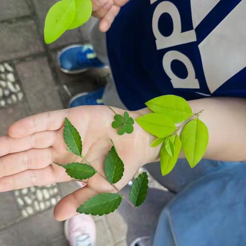 第35期西工大幼儿园学习之旅第一天——亲自然教育