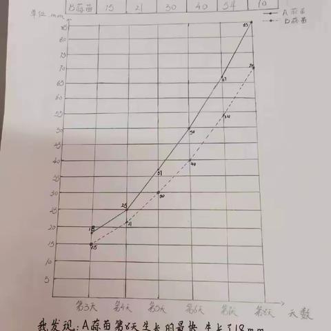 “蒜苗成长记”活动--亳州学院实验小学五年级数学组