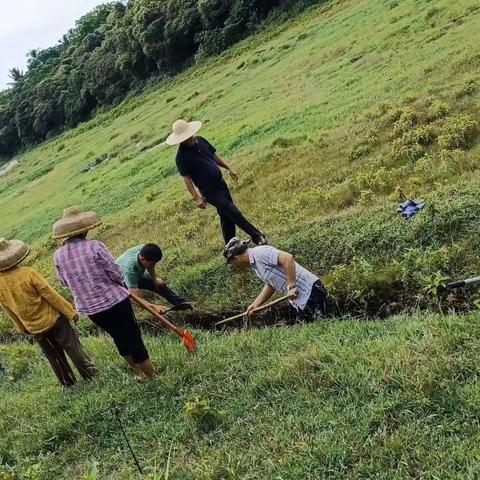 龙北村委会清理农田沟渠，助力乡村振兴