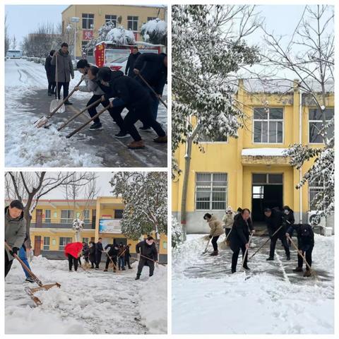 瑞雪满校园，除雪护安全——沁阳市第八中学除雪活动