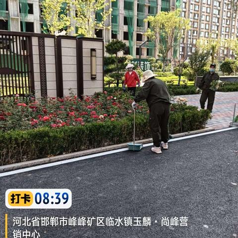 荣城物业大扫除日