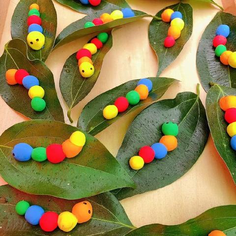 王吕寨附属幼儿园——自然美育《树叶上的毛毛虫》