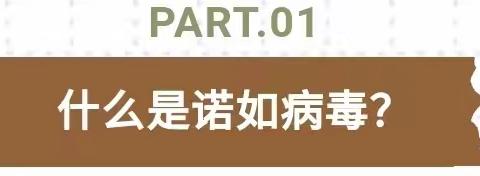 【家园共育】秋冬季来临，北岩幼儿园温馨提醒家长如何预防诺如病毒？