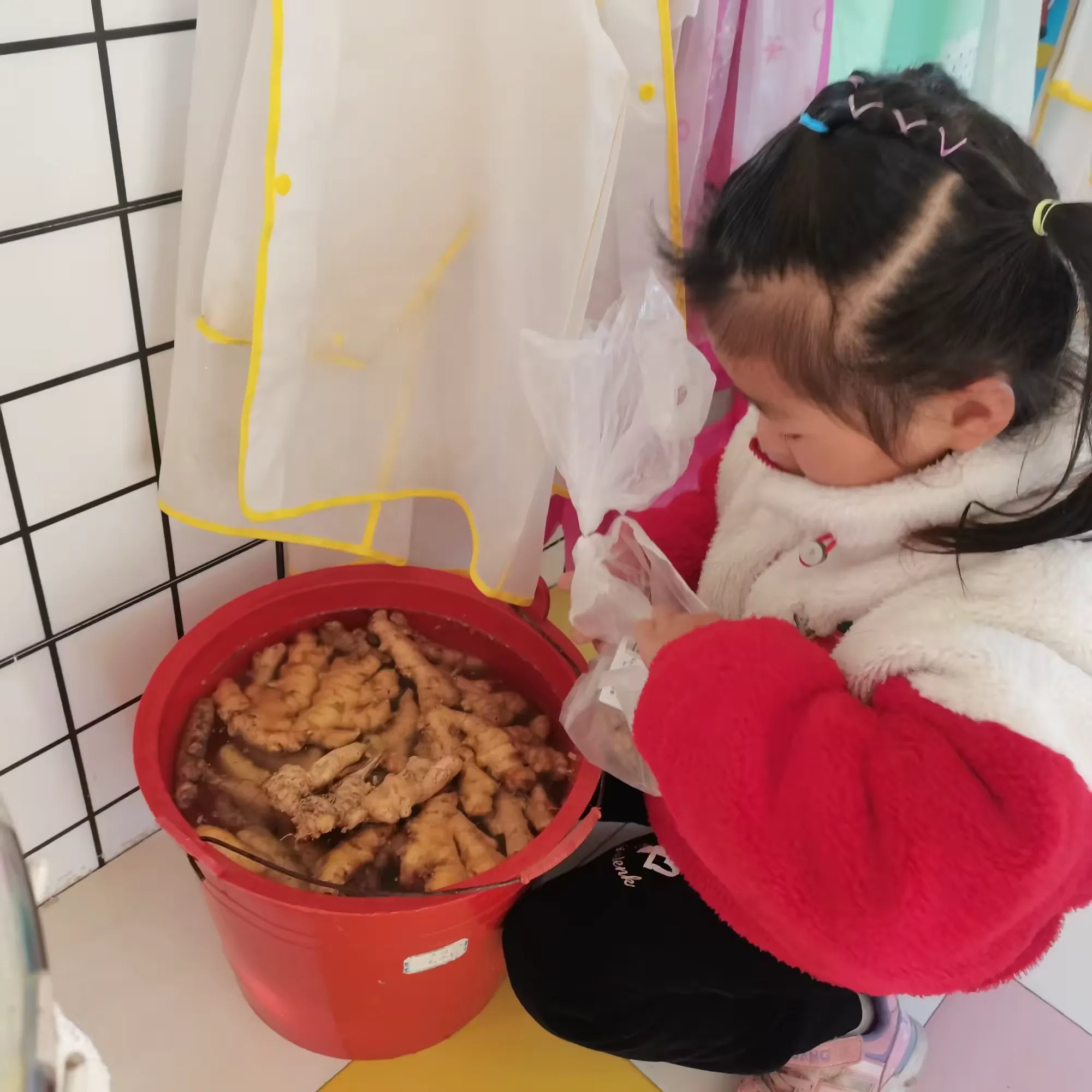 简篇-宣风镇中心幼儿园大五班课程故事——闯荡“姜”湖