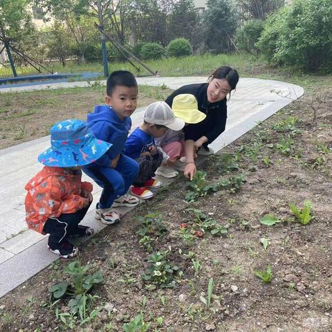 【园所动态】浑南八校幼儿园（万达园）——小满小满 圆圆满满