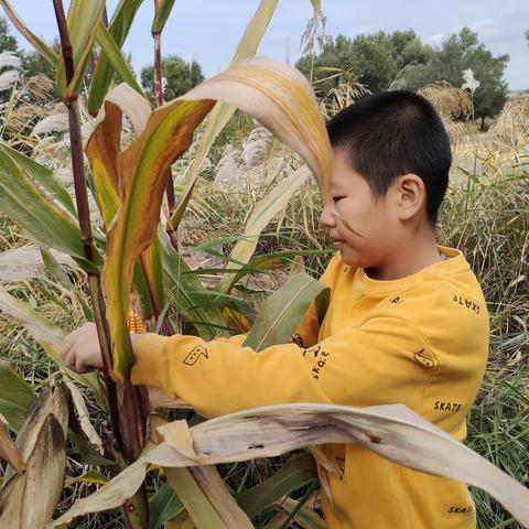 董子铨   五年级四班  双节快乐