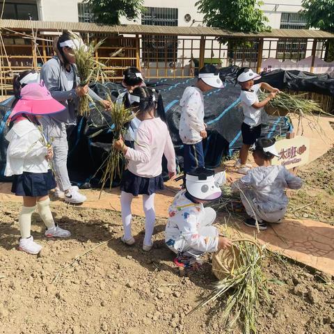 西工大幼儿园跟岗学习第5天小记
