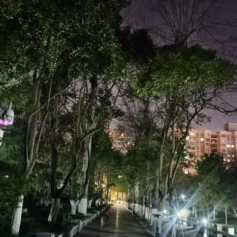 3月第1周夜巡情况汇报