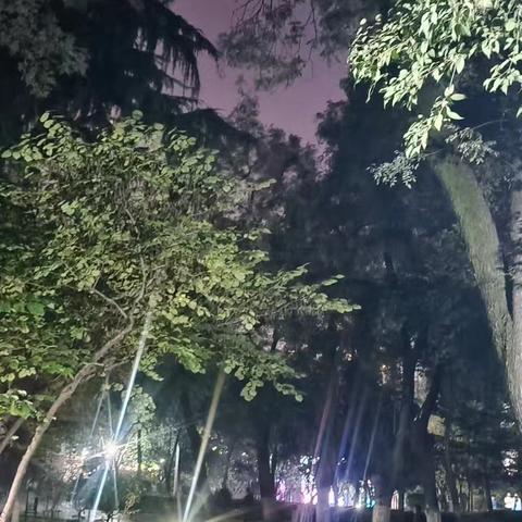 10月第4周夜巡情况汇报