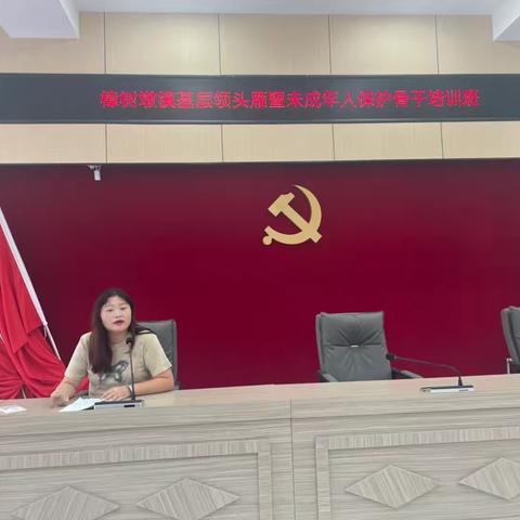 樟树墩镇妇联组织开设“未成年人保护”骨干培训班