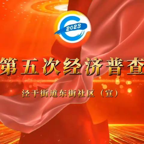 【泾干街道东街社区】五经普开始啦！