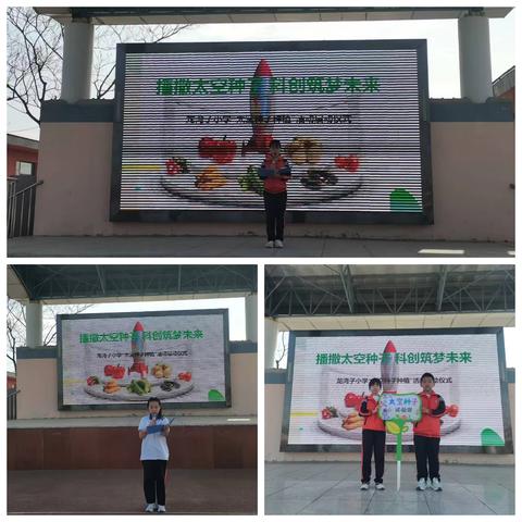 【韩城龙小·少先队】暑假“太空种子”收获季——龙湾子小学少先队员暑假实践活动（二）