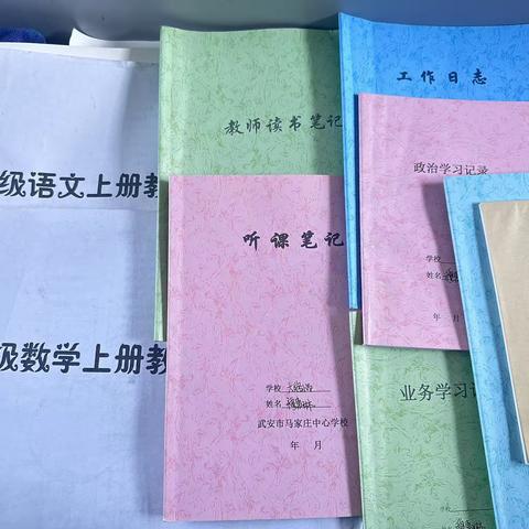 踔厉奋发，笃行不怠—马家庄乡大路小学穆惠琳业务展示