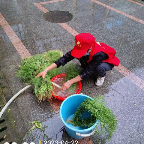 城市今典北区4月份爱心活动内容