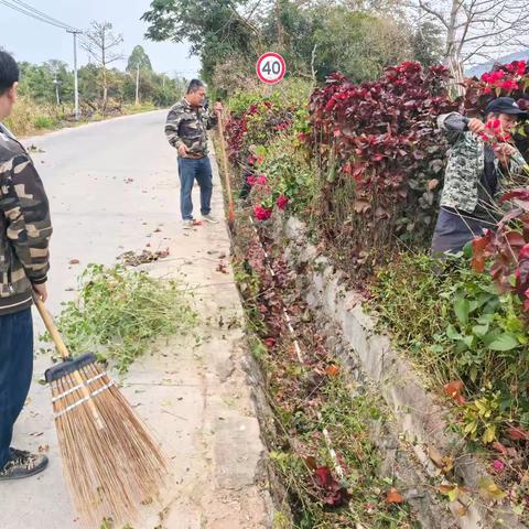 大田村开展人居环境卫生整治工作