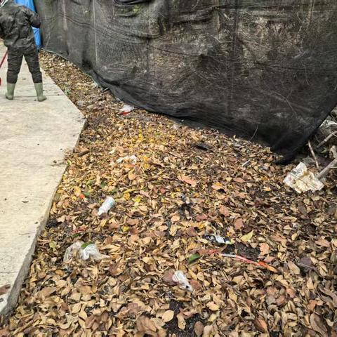 大田村开展人居环境卫生整治活动